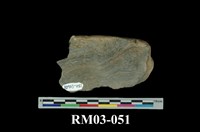 藏品(石英片岩)的圖片